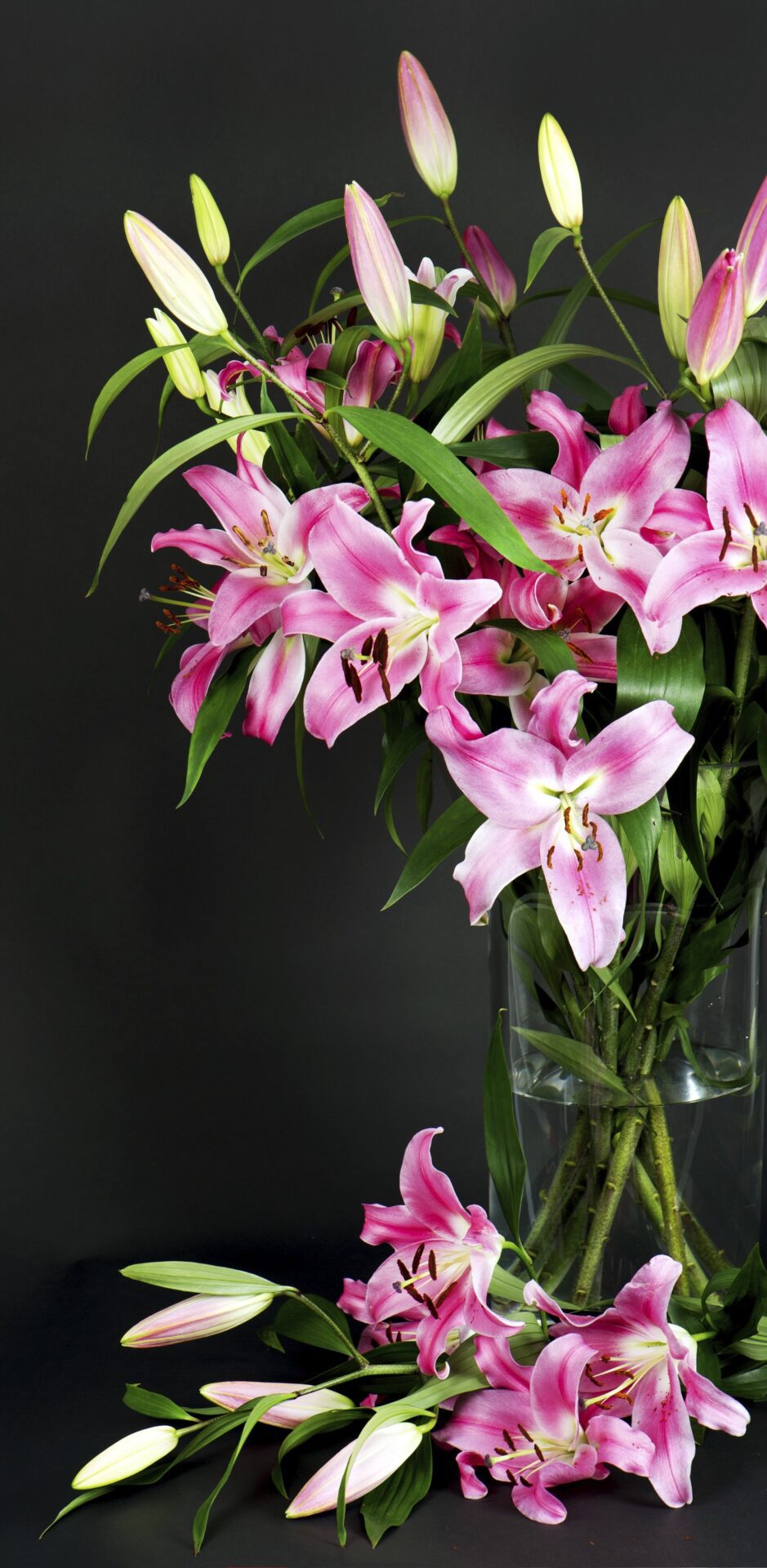 Komplexní pohřební služby Praha 5